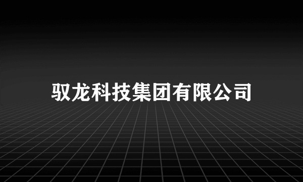 驭龙科技集团有限公司