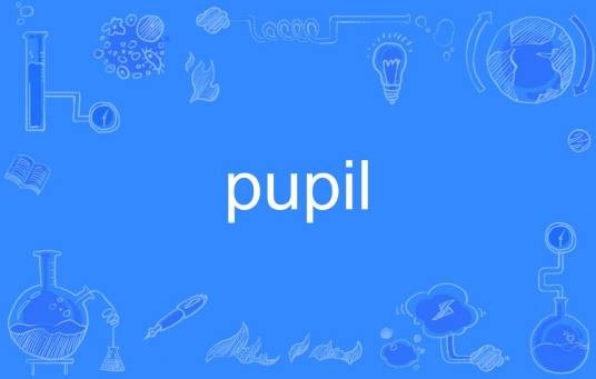 pupil