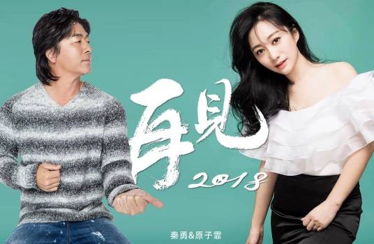 再见2018