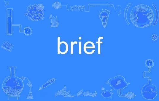 brief（英语单词）