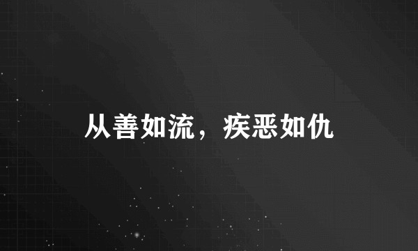 从善如流，疾恶如仇