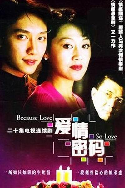 爱情密码（2001年王永执导的都市爱情剧）