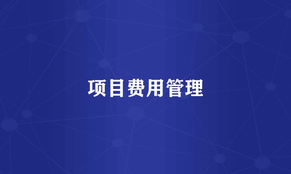 项目费用管理