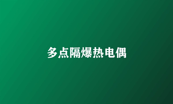 多点隔爆热电偶
