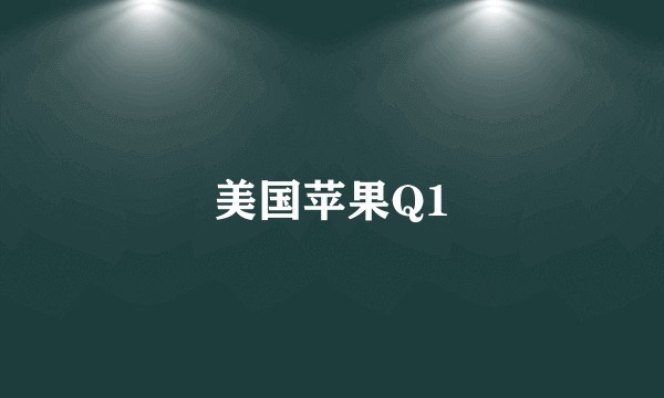 美国苹果Q1