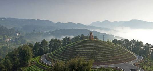 黄蜂窝茶山