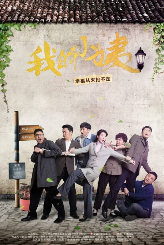 我的小姨（2017年顾晶执导的现代情感剧）