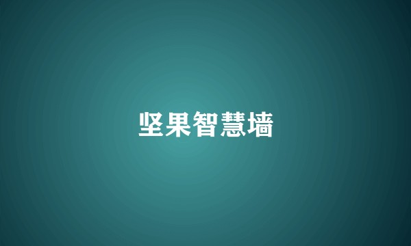 坚果智慧墙