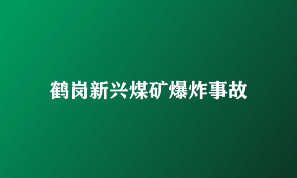 鹤岗新兴煤矿爆炸事故