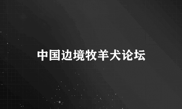 中国边境牧羊犬论坛