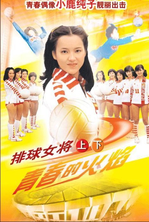 排球女将（日本1979年田中秀夫执导的运动剧）