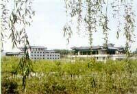 齐天乐园