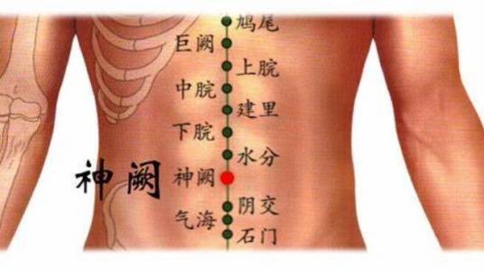 神阙穴