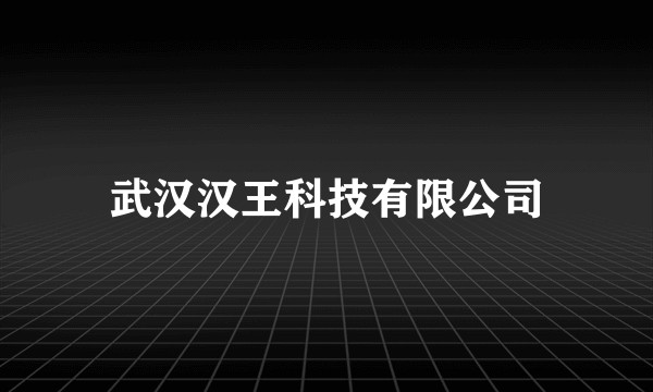 武汉汉王科技有限公司