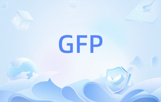 GFP（通用成帧协议）