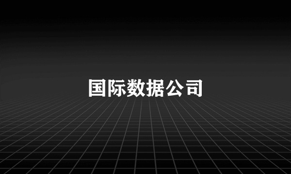 国际数据公司