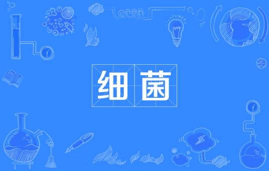 细菌(生物)