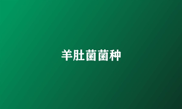 羊肚菌菌种