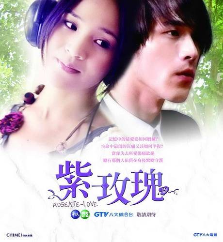 紫玫瑰（2009年林合隆执导的电视剧）