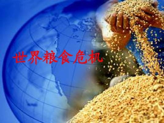 全球粮食危机