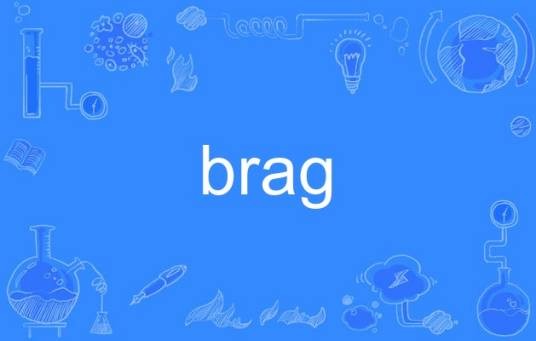 brag(英语单词)