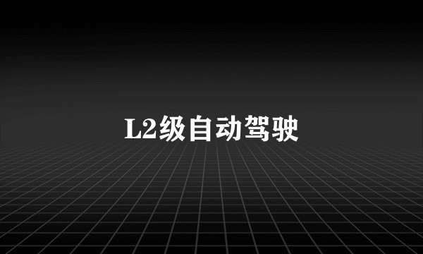 L2级自动驾驶