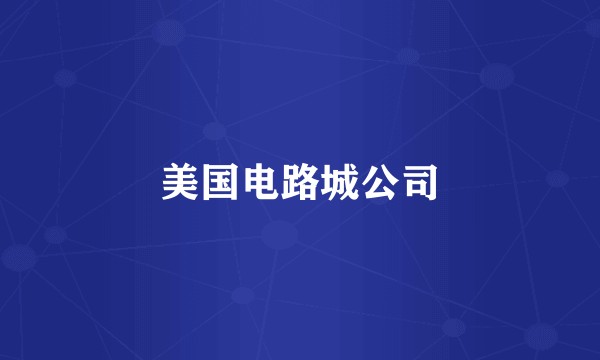 美国电路城公司