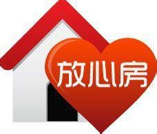 放心房