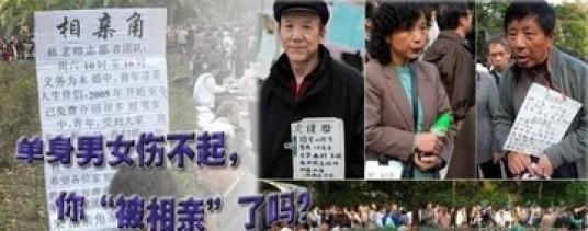 代理相亲
