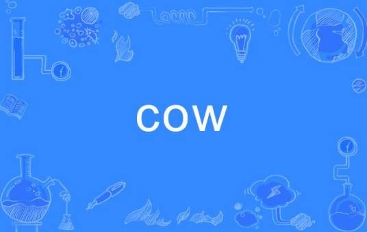 COW（英语单词）