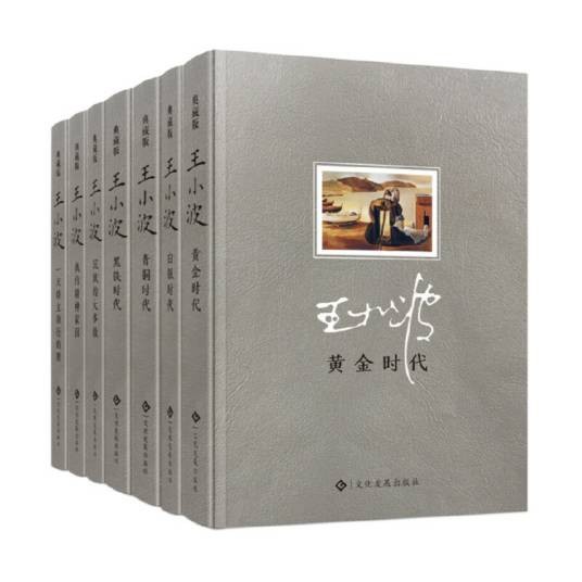 王小波代表作品集