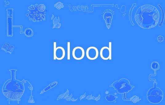 blood（英语单词）
