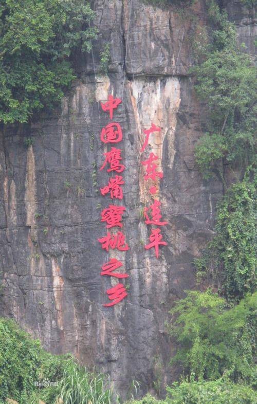 中国蜜桃之乡