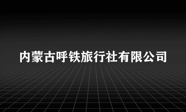 内蒙古呼铁旅行社有限公司