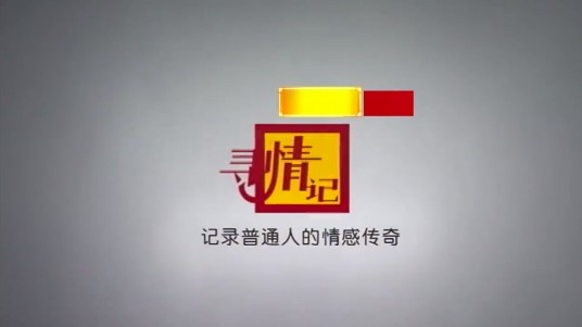 寻情记(湖南广播电视台都市频道情感类节目)