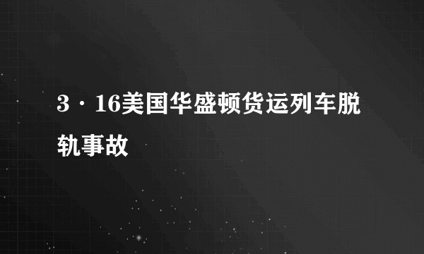 3·16美国华盛顿货运列车脱轨事故