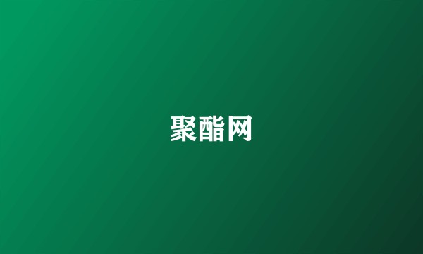 聚酯网