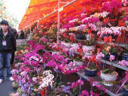 花卉市场