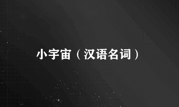 小宇宙（汉语名词）