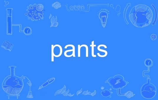 pants（英文单词）
