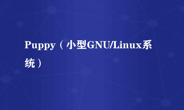 Puppy(小型GNU/Linux系统)