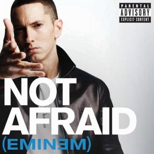 Not Afraid（埃米纳姆的单曲）
