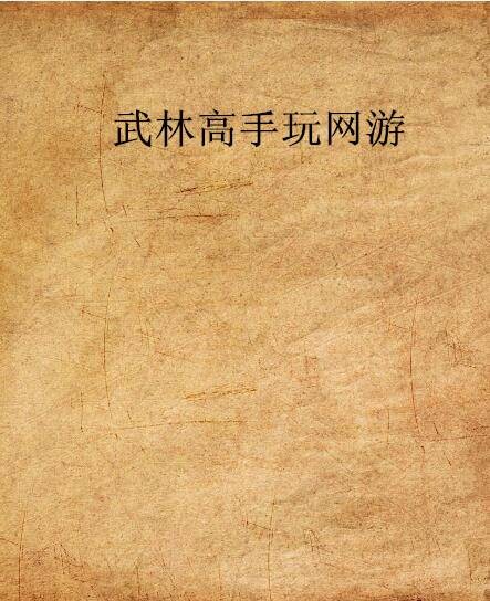 武林高手玩网游