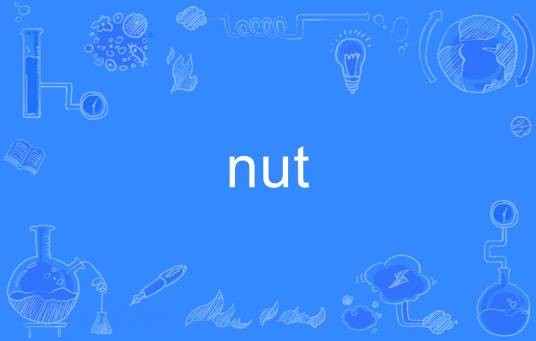 nut（英文单词）