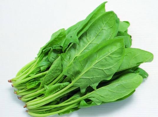 菠菜（中药）