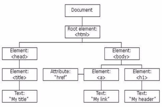 Document(计算机专业术语)