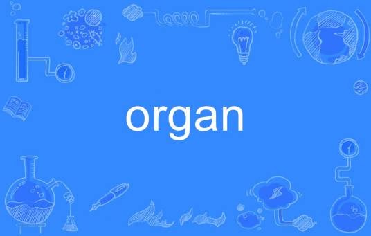 organ