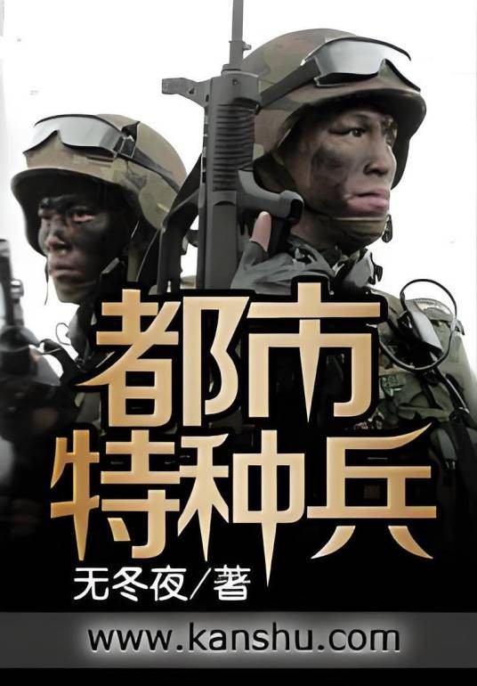 都市特种兵（无冬夜著网络小说）