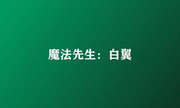 魔法先生:白翼