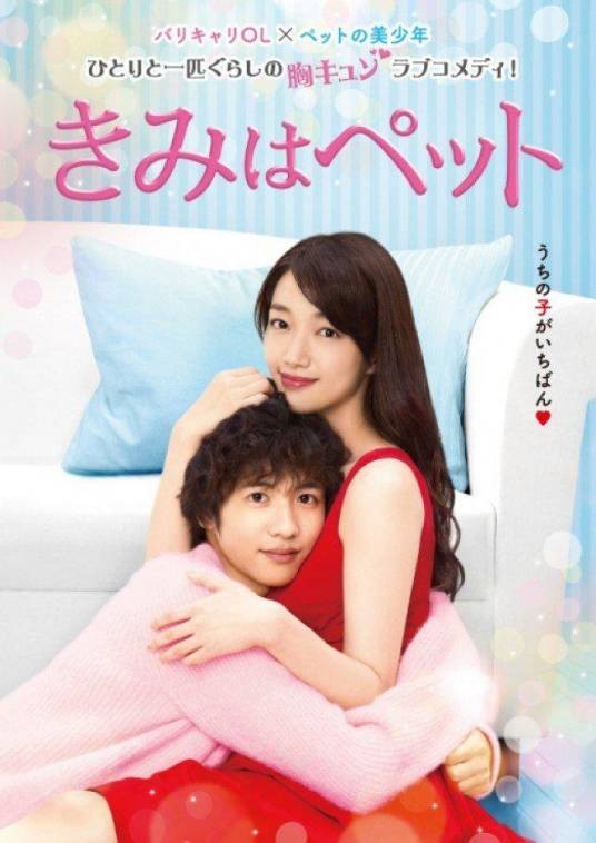 宠物情人（日本2017年入山法子、志尊淳主演电视剧）